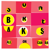 sunbreaks-alloncamera-jesseledoux-johnatkins-jamesvanleuven-suicidesqueezerecords-bluevinyl-seattle-pacificnorthwest-764hero-planb